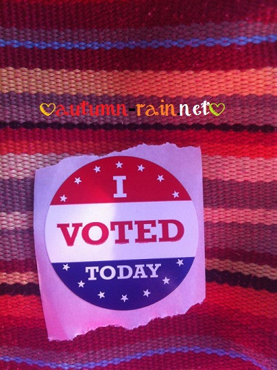 wordless wed: I voted (friday)