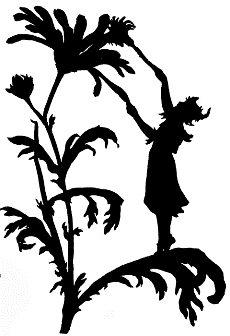 A fairy decided to visit me, The fairy hobmother that is!