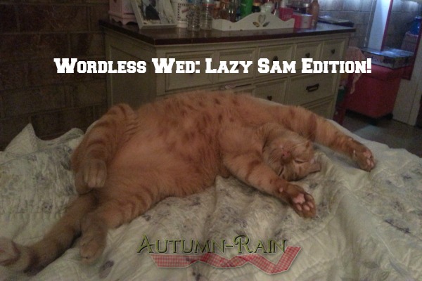 Wordless Wed(Late, better than Never Edition!)
