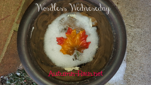 Wordless Wed: #BESOCIETY #WordlessWedneseday  Fall Leave & Snow Edition