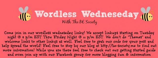 (Somewhat)Wordless Wed # 50 With @thebesociety!