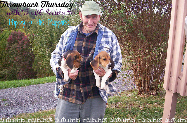 Throwback Thursday @TheBESociety # 6 With Linky- Poppy & His Puppies