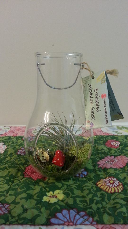 Wordless Wed # 48 with @TheBESociety- Enchanted