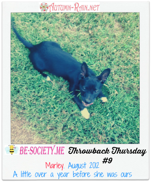 Throwback Thursday # 9  With @TheBESociety