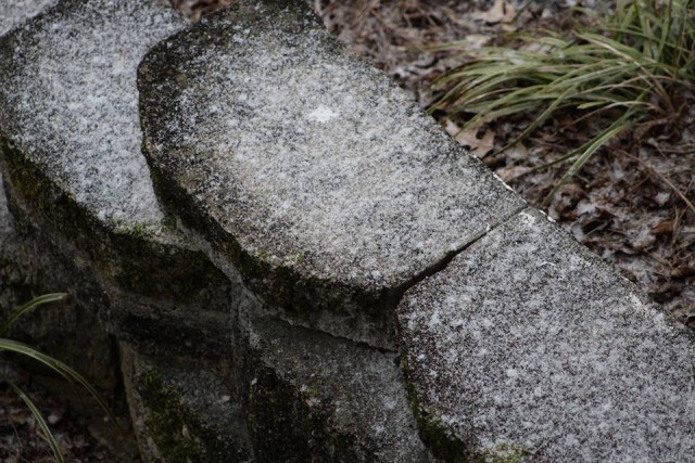 snow1