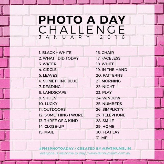 31 Days of Photo A Day Pics January 2016 #fmsphotoaday