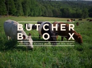 ButcherBox_Logo-600x441